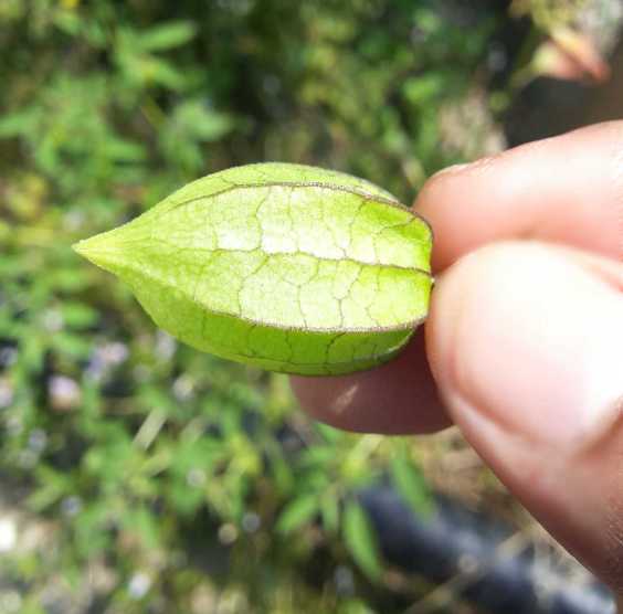 20170723_letup-letup1A