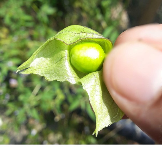 20170723_letup-letup4