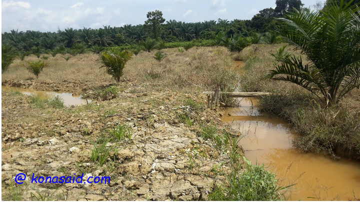 20170924_112017-boots